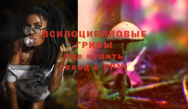 дживик Покачи