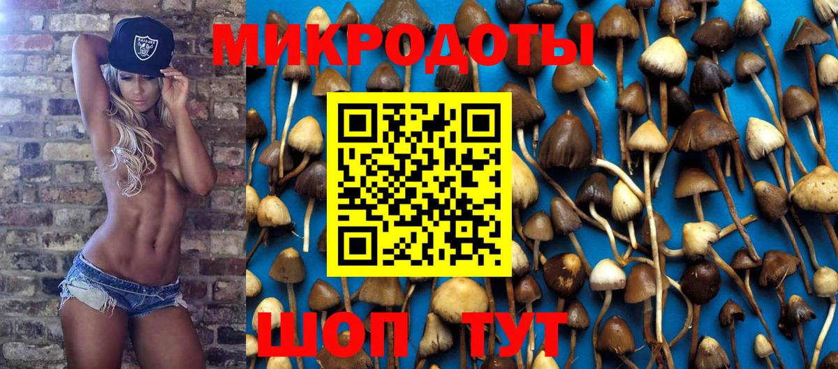 Псилоцибиновые грибы Magic Shrooms  Вход с VPN  Галлюциногенные грибы мицелий  Троицк 